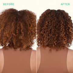 mane menders strength repair wash + care set